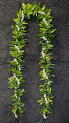 a bunch of green leaves and white flowers hanging from the side of a black wall