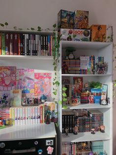 a book shelf filled with lots of books next to a wall covered in cartoon pictures