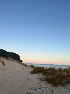 an empty beach with grass and bushes in the foreground