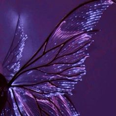 a purple butterfly is flying in the air with its wings spread out and lights shining on it's back