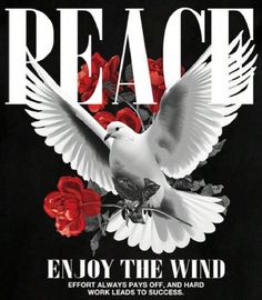 a white dove with red roses on it and the words peace written in large letters