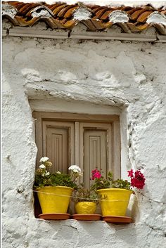 two yellow flower pots are on the ledge of a white stucco building, with red and pink flowers in them