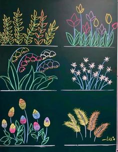 four different colored flowers on a blackboard