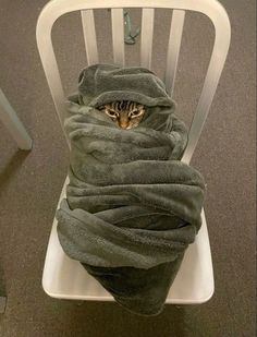 a cat wrapped in a blanket sitting on top of a white chair