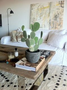 a living room with a couch, coffee table and cactus in the centerpieces