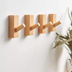 three wooden pegs mounted to the side of a wall next to a potted plant