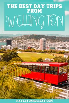 the best day trips from wellington