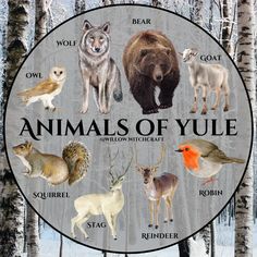 the animals of yule are depicted in this circular sign with trees and snow behind them