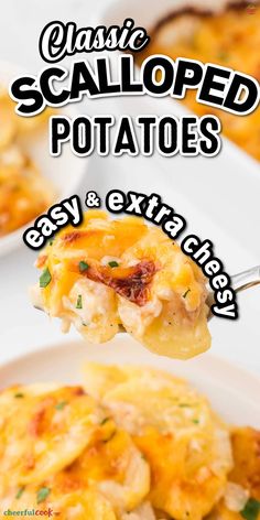 a spoon full of potato casserole with text overlay that reads classic scalloped potatoes