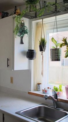 some plants hanging from hooks in a kitchen window sill over a sink and counter