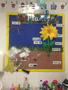 a bulletin board with flowers and plants on it's side in a classroom setting