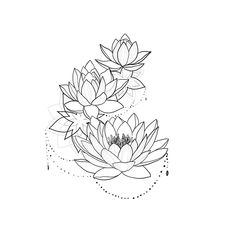 three water lilies on top of each other in the middle of a line drawing