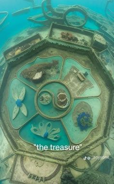 an aerial view of the ocean and its surrounding reef, with text overlaying it