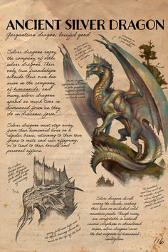 an old book with some drawings and writing on the pages, including a drawing of a dragon