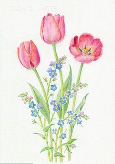 three pink tulips with blue flowers are shown in this watercolor painting on paper