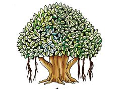 a drawing of a tree with green leaves and roots