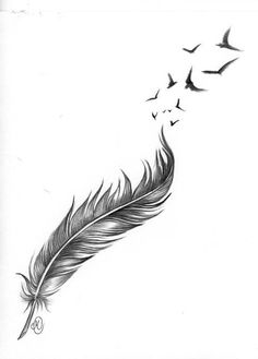 a drawing of a feather with birds flying around it