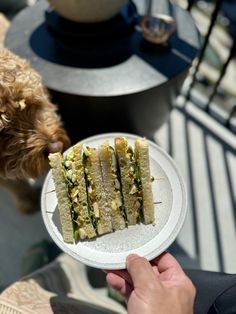 a person holding a plate with sandwiches on it and a dog looking at the plate