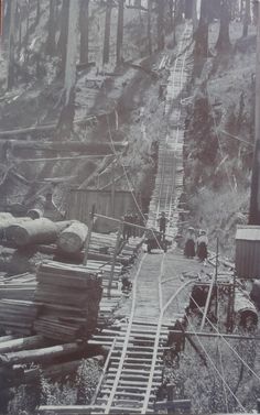 an old black and white photo of a train track in the woods with logs on it