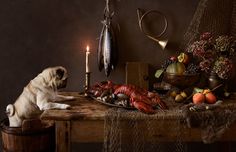 a pug dog sitting at a table with lobsters and other food