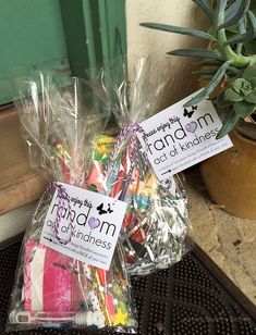 two bags filled with candy sitting on top of a door sill next to a potted plant