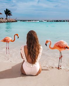 a woman sitting on the beach looking at flamingos