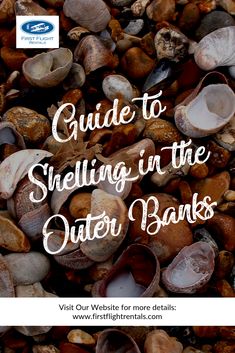 shells with the words guide to shelling in the outer banks on top of them