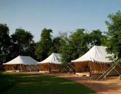 several tents set up in the grass near trees