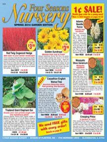 an advertisement for the four season nursery sale, with sunflowers and other plants