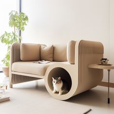 a cat sitting in the corner of a couch