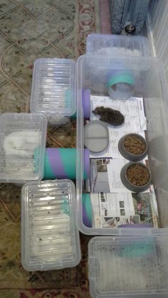 several plastic containers filled with food on top of a rug