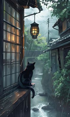 a black cat sitting on top of a window sill next to a river in the rain