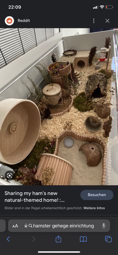 an image of a fake garden with rocks and plants in it's center area