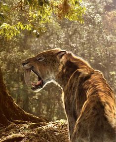 a large animal with its mouth open in the woods