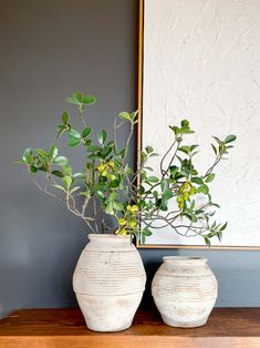 Meet the Toscana Vase: A timeless terracotta piece that brings rustic elegance and earthy charm to your home. 🏺 ✨ Why you’ll love it: Rustic vintage-style design: With its aged and ancient look, the Toscana Vase adds a touch of history and sophistication to any space. 🌿 Earthy light clay color: A warm, natural tone that complements both traditional and modern decor styles. 🤎 Available in two sizes: Choose between medium and large to find the perfect fit for your space or pair them for a striking display. 📏 Versatile and timeless: Ideal for showcasing dried flowers or as a standalone piece that elevates your decor effortlessly. 🌾 🪴 What makes it special? The Toscana Vase embodies the beauty of rustic Mediterranean design. Its earthy tones, aged finish, and timeless silhouette make it Terracotta Design, Rustic Mediterranean, Terracotta Vase, Light Clay, Mediterranean Decor, Mediterranean Design, Clay Color, Natural Tones, Hanging Planters