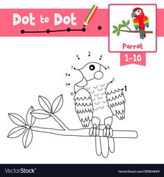 dot to dot parrot sitting on a branch