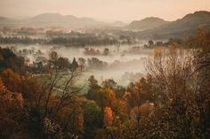 a foggy valley with trees in the foreground