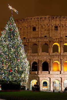 the christmas tree is lit up in front of the colossion at night time