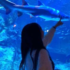 a woman is looking at a shark in an aquarium with many fish swimming around her