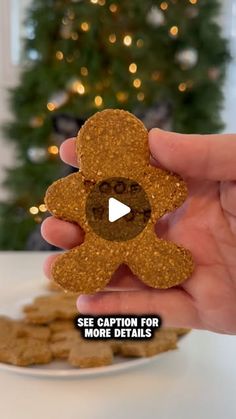 a person holding a cookie shaped like a teddy bear with the caption see caption for more details