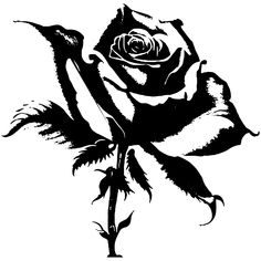 a black and white drawing of a rose