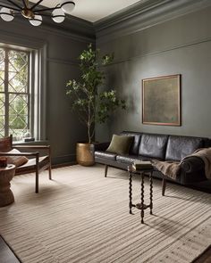 a living room filled with furniture and a potted plant on top of a table