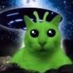 a green cat with big eyes sitting in front of a spaceship