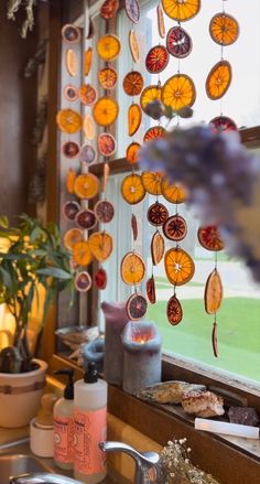 a kitchen sink under a window filled with oranges hanging from it's side