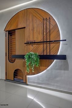 a plant is growing in the center of a circular wooden wall mounted shelf with metal bars on it