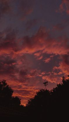 the sky is red and purple as it sets behind some trees in front of a dark blue sky