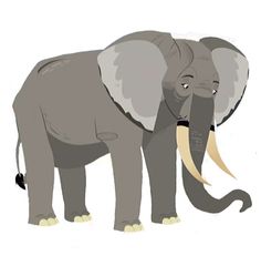 an elephant with tusks standing in front of a white background