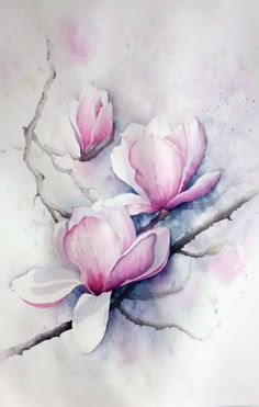 watercolor painting of three pink flowers on a branch with white petals in the foreground