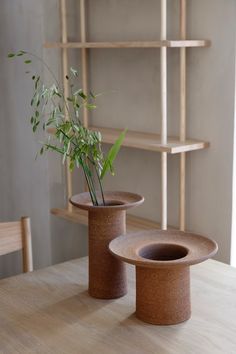 two planters sitting on top of a wooden table next to a book shelf filled with books