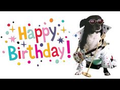 a dog wearing sunglasses and holding a guitar in front of a happy birthday sign with confetti on it